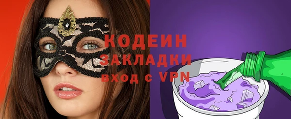 хмурый Гусев