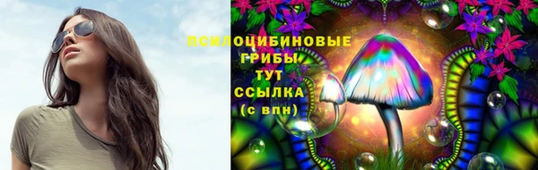 МДМА Гусиноозёрск