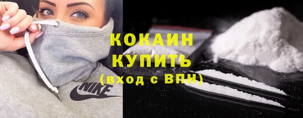 хмурый Гусев