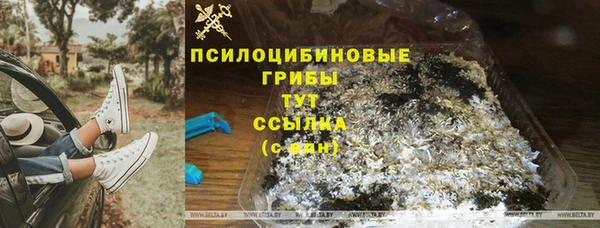 хмурый Гусев