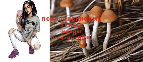 хмурый Гусев