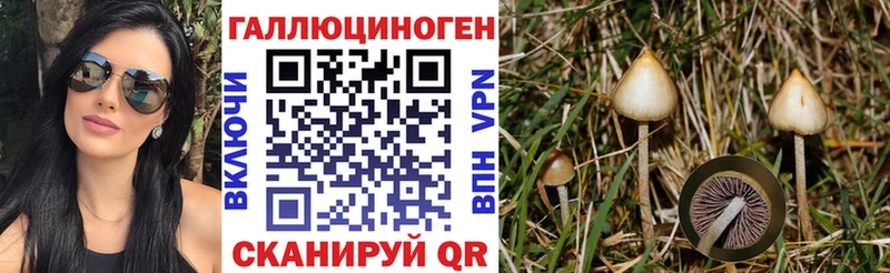 продажа наркотиков  Нариманов  Галлюциногенные грибы GOLDEN TEACHER 
